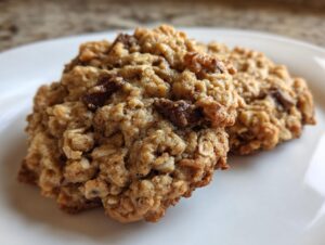Close-up of two golden brown, chewy oatmeal cookie treats featuring visible oats and raisins on a white plate.
